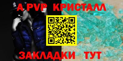 гашик Кингисепп