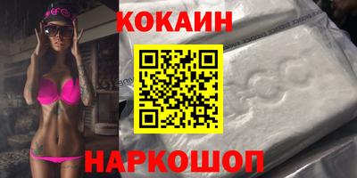 гашик Кингисепп