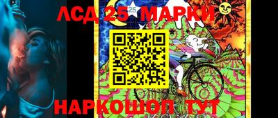 гашик Кингисепп