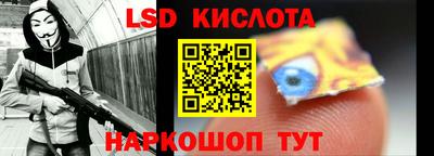 гашик Кингисепп
