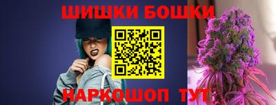 гашик Кингисепп