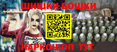 гашик Кингисепп