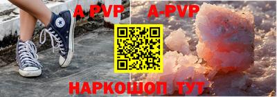 гашик Кингисепп