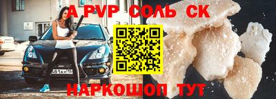гашик Кингисепп