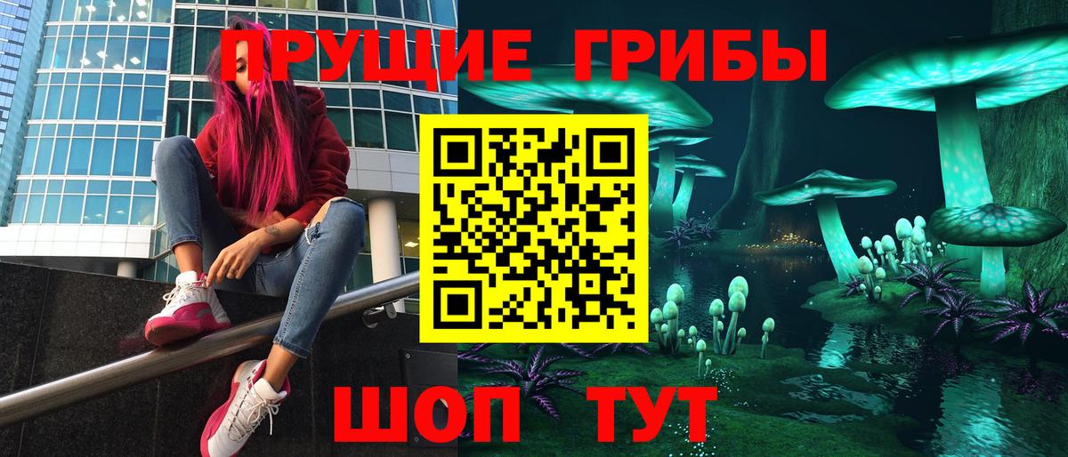 Псилоцибиновые грибы мицелий  Псилоцибиновые грибы Magic Shrooms  Вход с VPN  Ковров 
