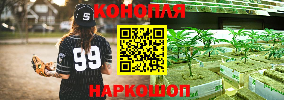 Ковров  Канабис AK-47  Бошки марихуана AK-47  Марихуана Bruce Banner  Вход с VPN 